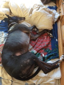 6F0CD6BB-7B3C-4AD4-ACDB-76487385BF39