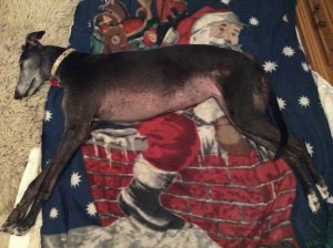 8FD20598-9859-412E-9BD8-DEED925088B9