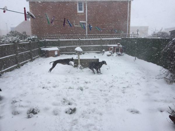 13BCEF74-F5C0-4FAF-94F2-67C980638F32