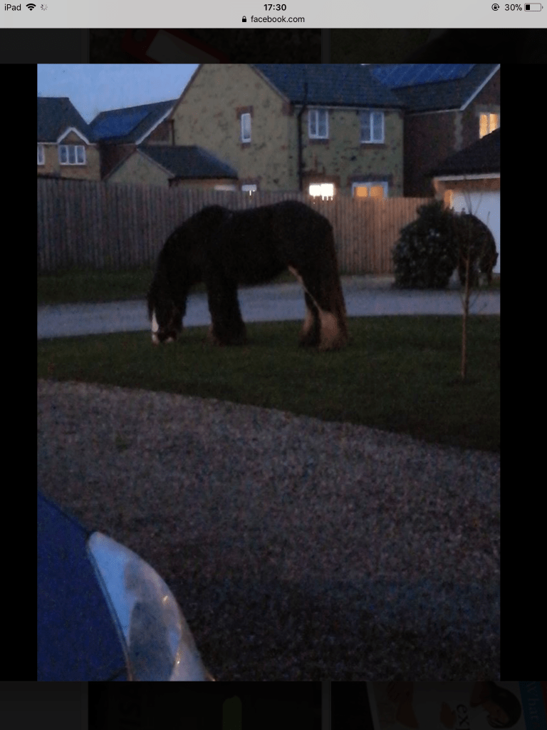 1FB737DD-27CC-4157-8F30-E366D07A2352