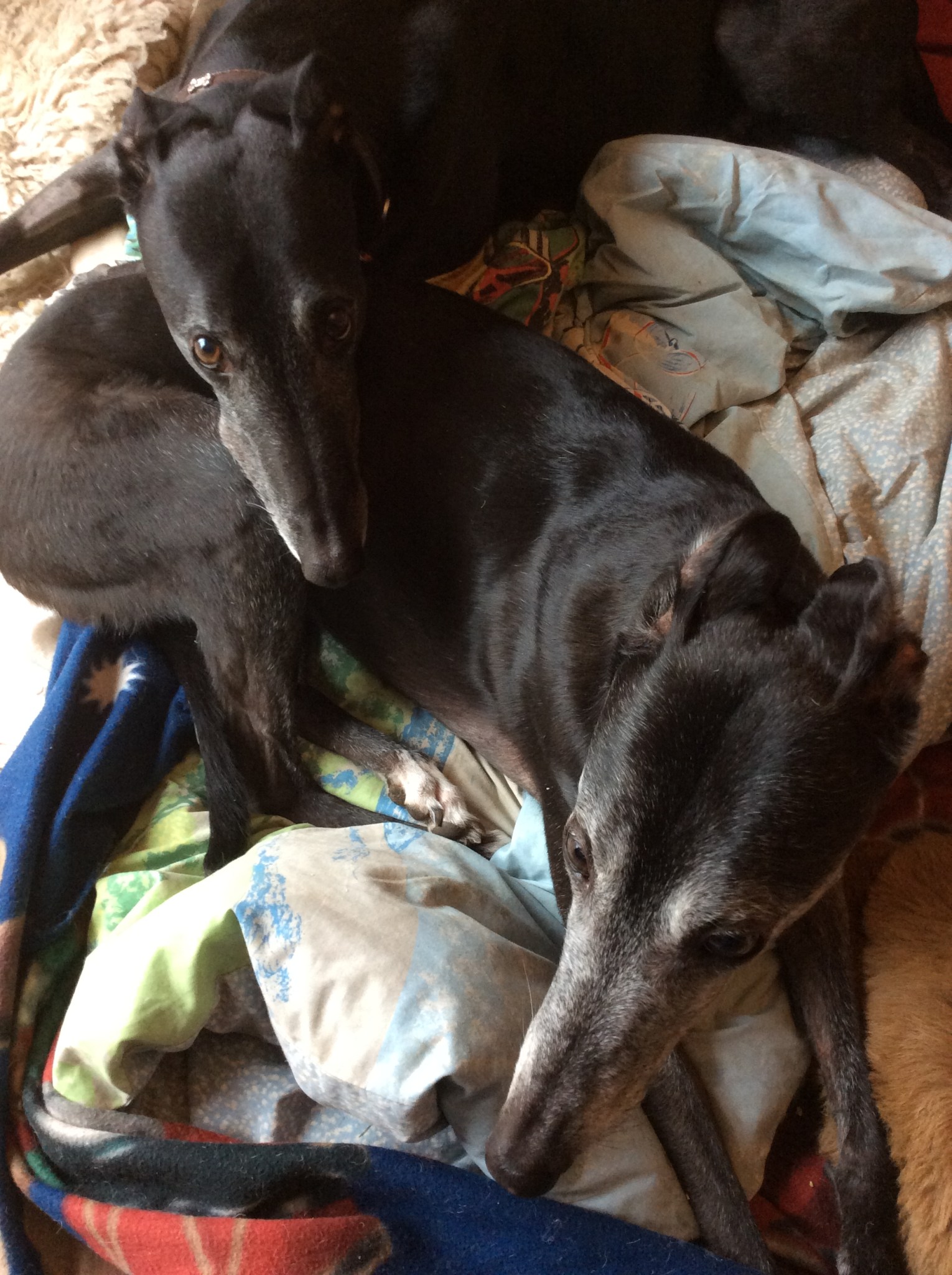 F1227929-3FD0-4A2E-A655-1A55A0AE9370