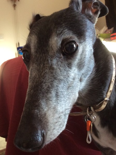 F524F0BB-184C-4A47-A94D-D9E5FB3157C2