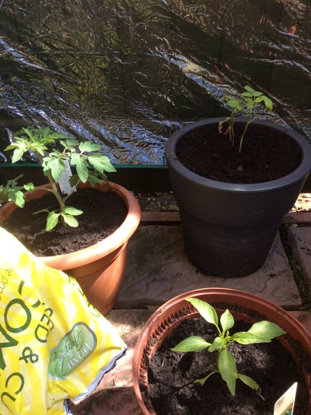 1A4766B8-F207-4C81-A3B5-BEFD525A8489