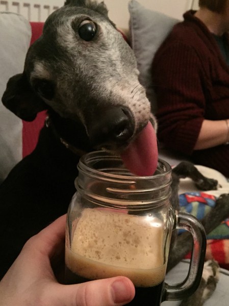 0A5C86AF-19CC-4C96-A046-C58677E6183F