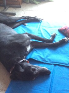 29655952-1CB8-4BF0-B1BE-A40BB9F7B589