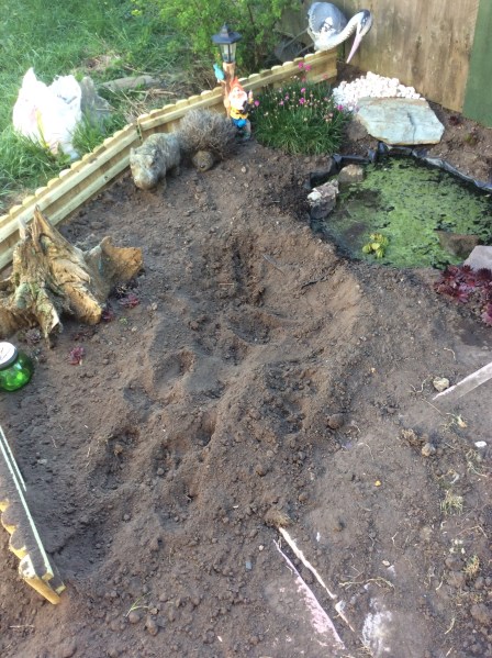 419A9802-41DA-4AA3-8D7E-A9B1E2F8FF61