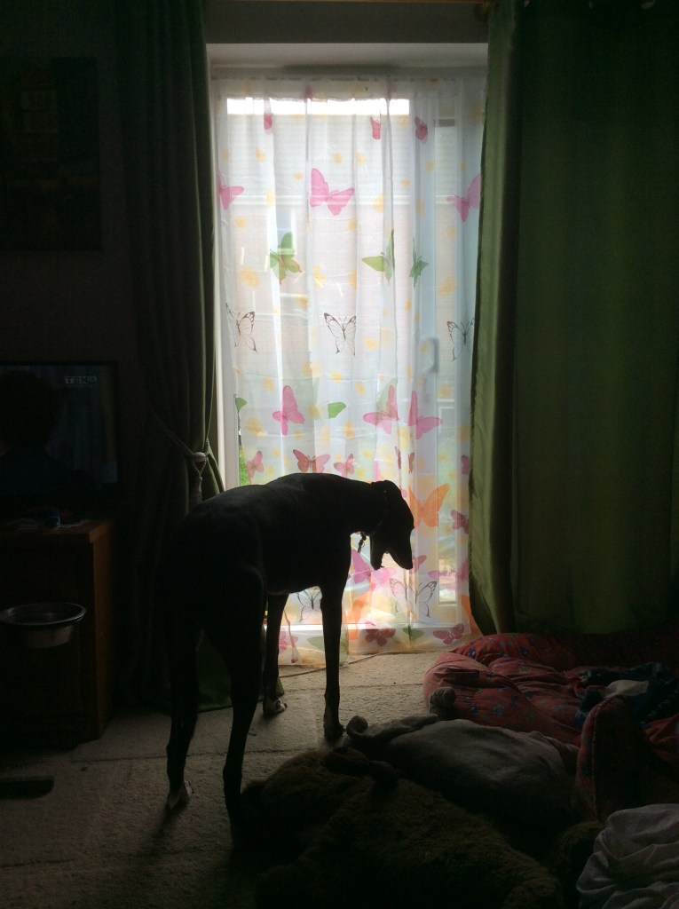 4DB50DB0-E1A0-4F90-9BB7-6BE0855FD535