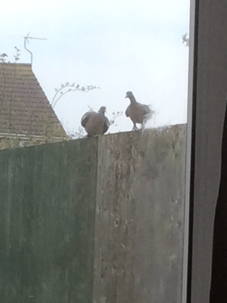 559B3D05-3E14-41FE-9208-E1CED296A1FF