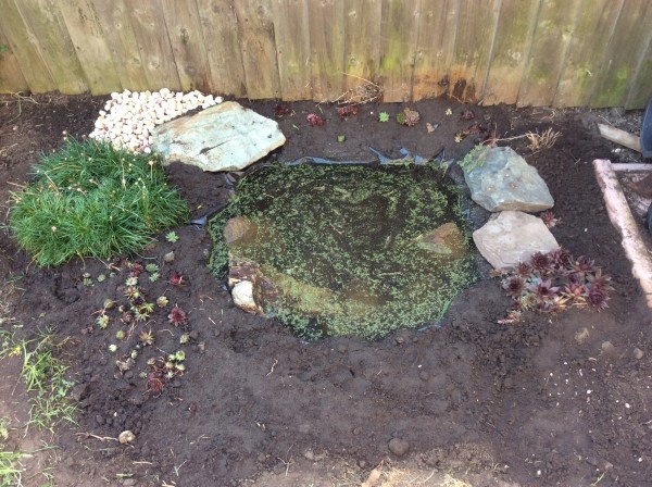 9FC15875-1258-4181-A217-E1EFFFE41F00