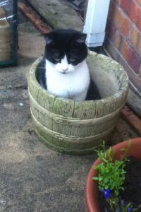 04E7C3EF-8F5A-4ECA-8C55-CF4B5E8F91D9