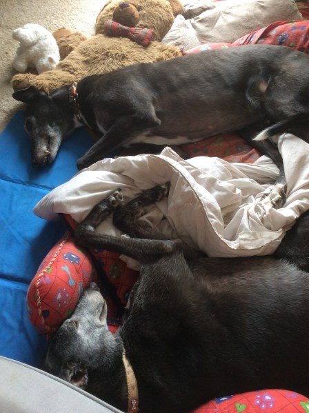 64C86B47-F4C3-473C-A1C1-7A84200AB448