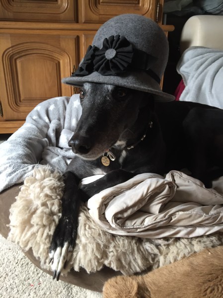 8FB1AFC2-71CB-4CC0-B726-CAEF105B0962