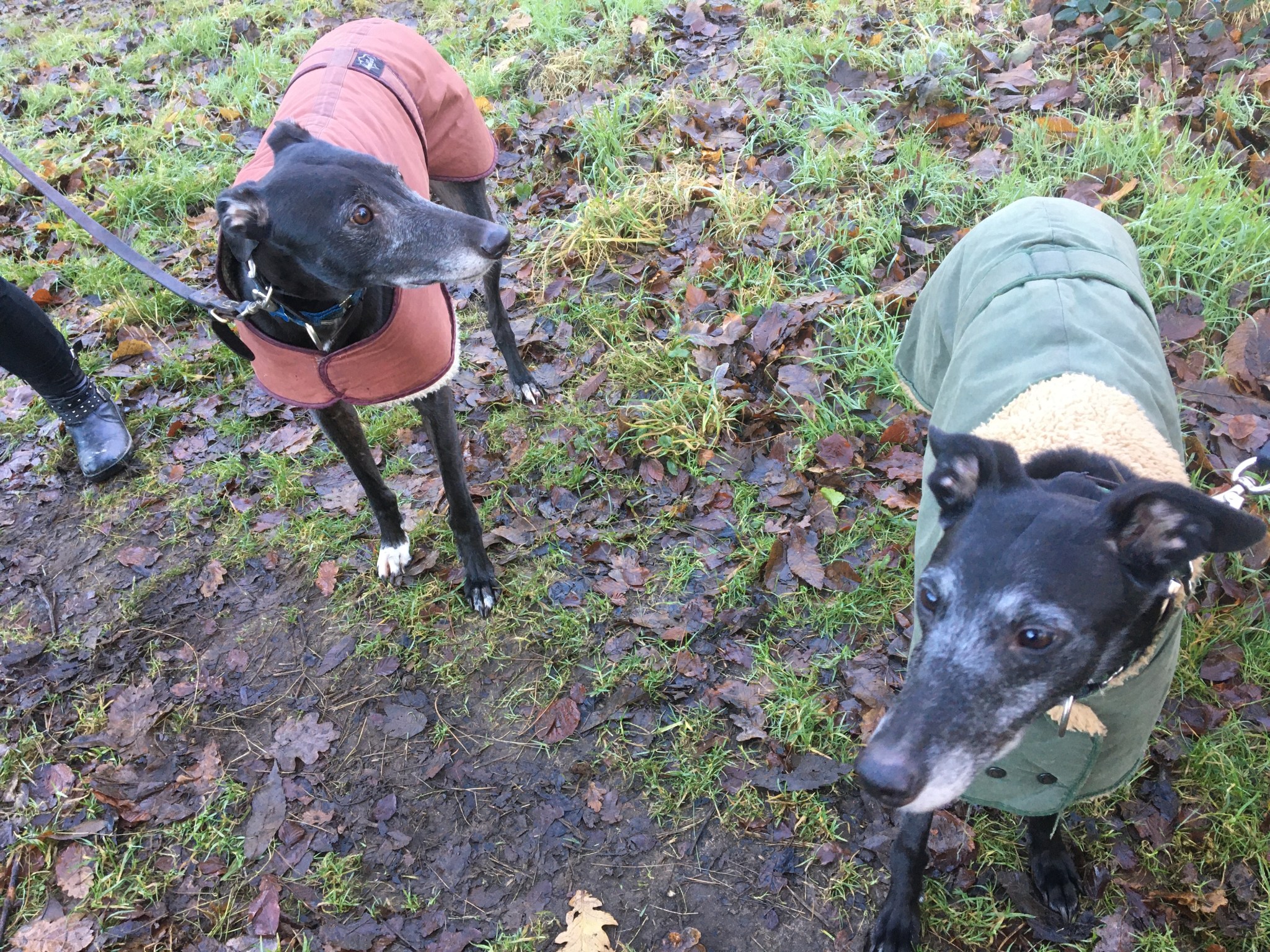 986BDB48-CABD-42A3-950F-B61C4DDDA6D4