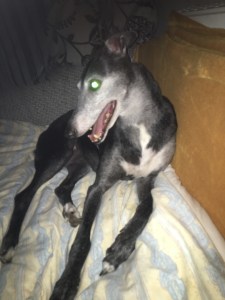 C25A8069-854D-4F94-A3EF-C6FA2B2ADB46